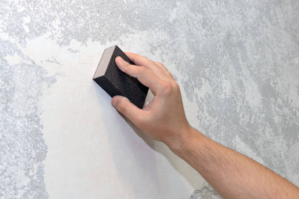 Best Attic Mold Removal  in Airmont, NY