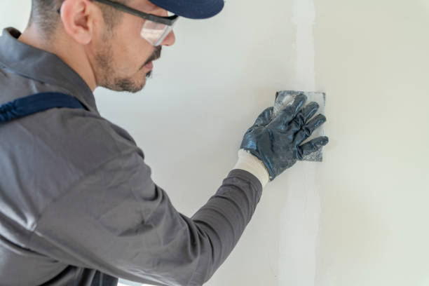 Best Basement Mold Removal  in Airmont, NY