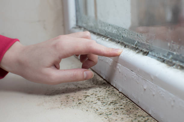 Best Asbestos and Lead Testing During Mold Inspection  in Airmont, NY