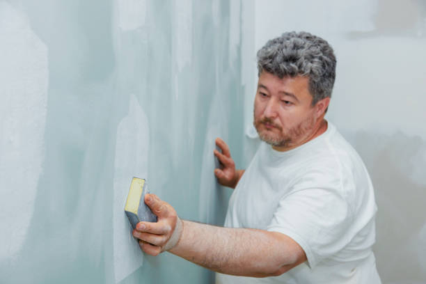 Reliable Airmont, NY Mold Removal Solutions