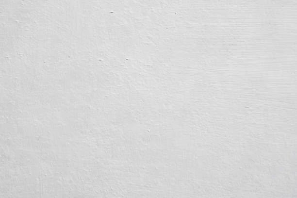 Best Black Mold Removal  in Airmont, NY